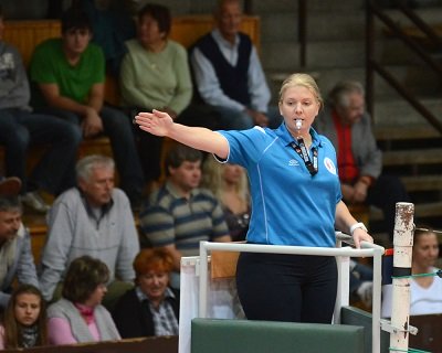 Volleyball Officials